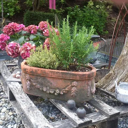 Bodensee Mit Herz 3*