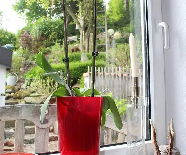 Bodensee Mit Herz 3*