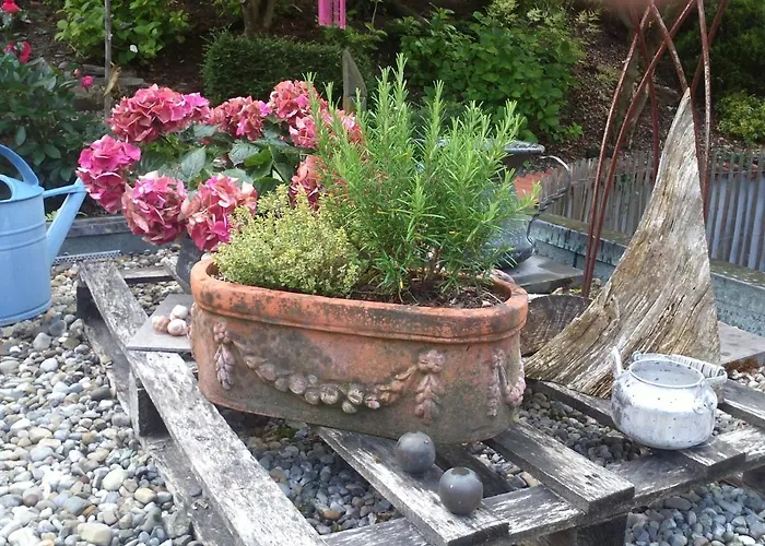 Bodensee Mit Herz 3*